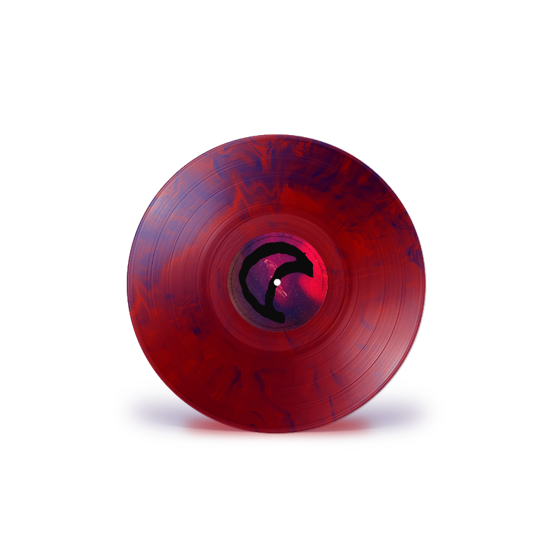 'Beholder' Gatefold Exclusive LP. { vinyl }