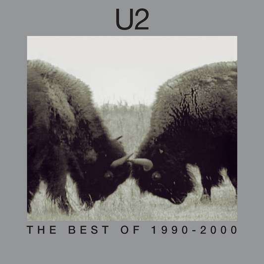 The Best Of 1990-2000: Vinyl 2LP