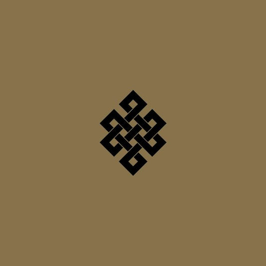 Throbbing Gristle - Live At The Volksbuhne Berlin New Year's Eve 2005 [2LP] { vinyl }