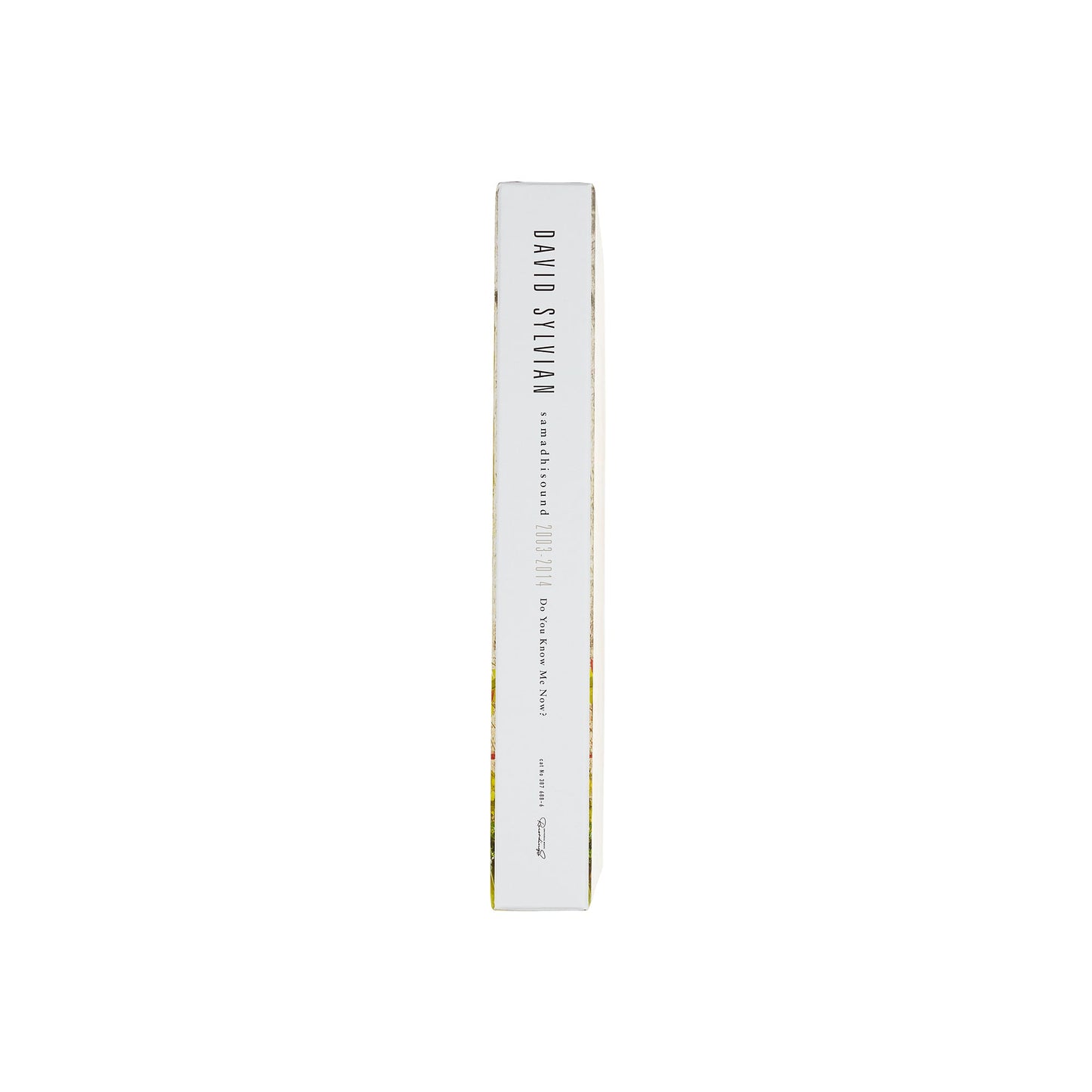 David Sylvian - Do You Know Me Now? (Exclusive 10CD Box Set) { vinyl }