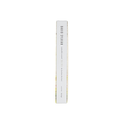 David Sylvian - Do You Know Me Now? (Exclusive 10CD Box Set) { vinyl }