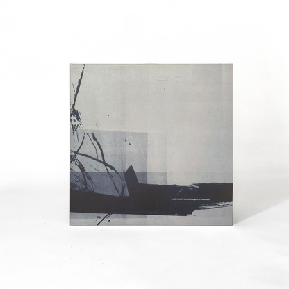 Second Toughest In The Infants: Vinyl 2LP { vinyl }