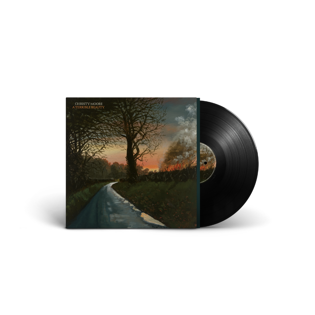 A Terrible Beauty: Vinyl LP { vinyl }