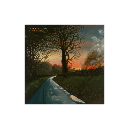 A Terrible Beauty: Vinyl LP { vinyl }