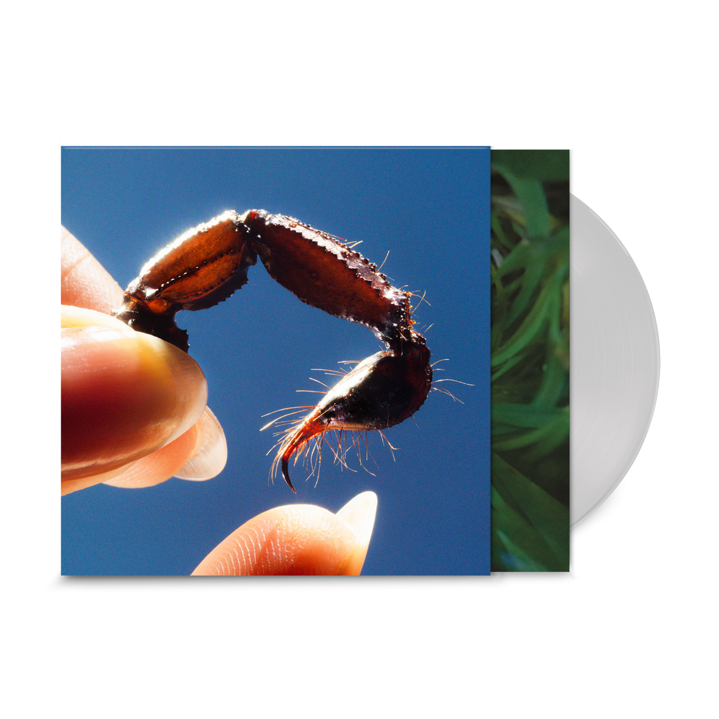Cowards: Limited Edition Clear Vinyl LP & Signed Print { vinyl }