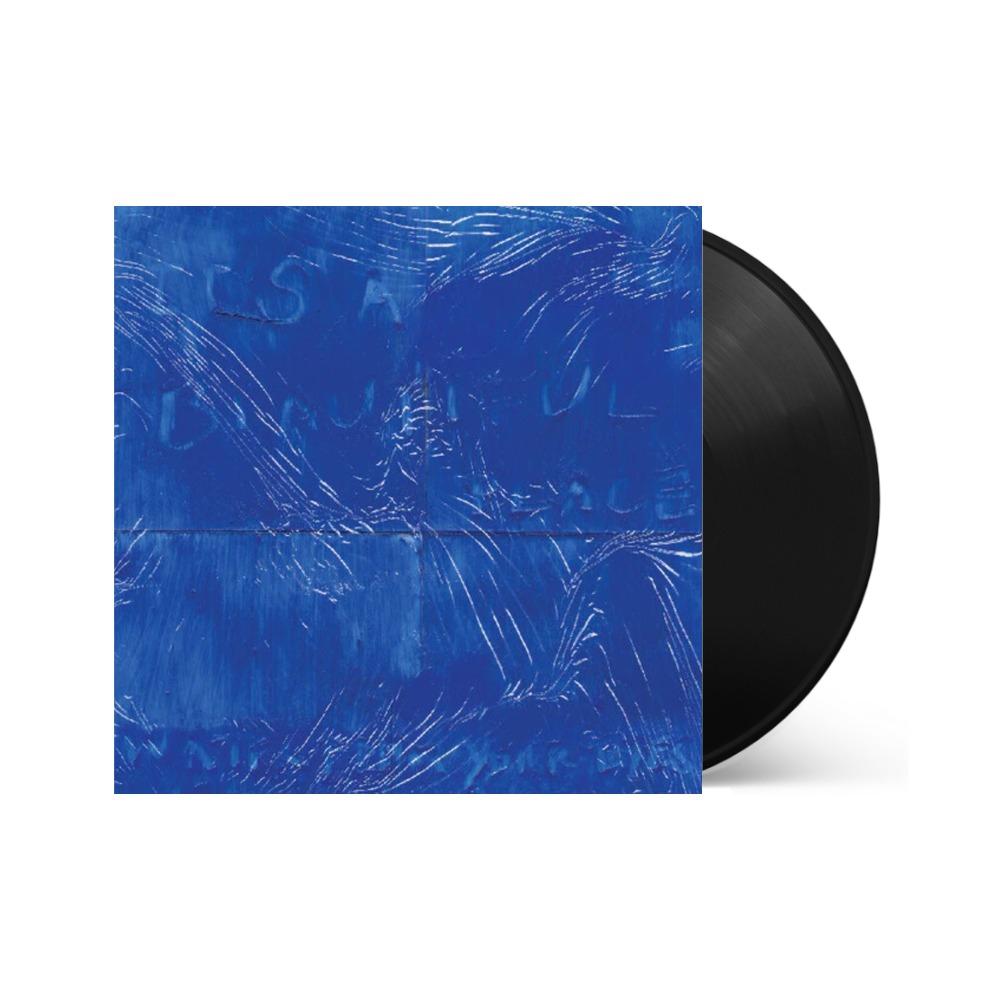 Water From Your Eyes - It's A Beautiful Place { vinyl }