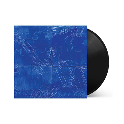 Water From Your Eyes - It's A Beautiful Place { vinyl }