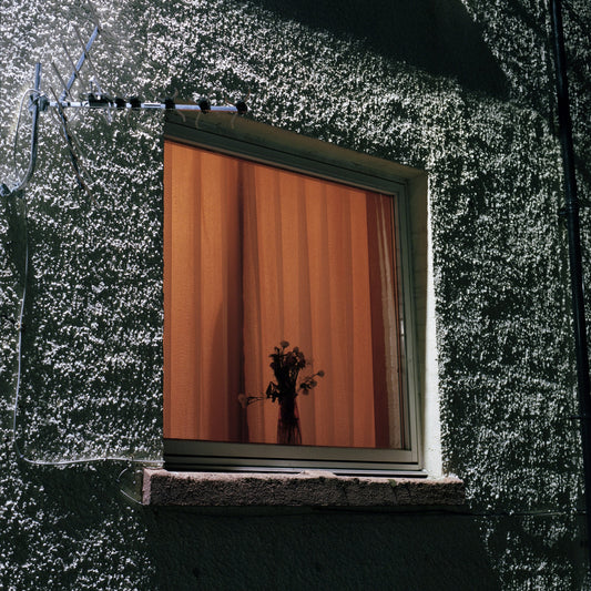 Monthly Friend: Exclusive Random Colour Vinyl LP { vinyl }