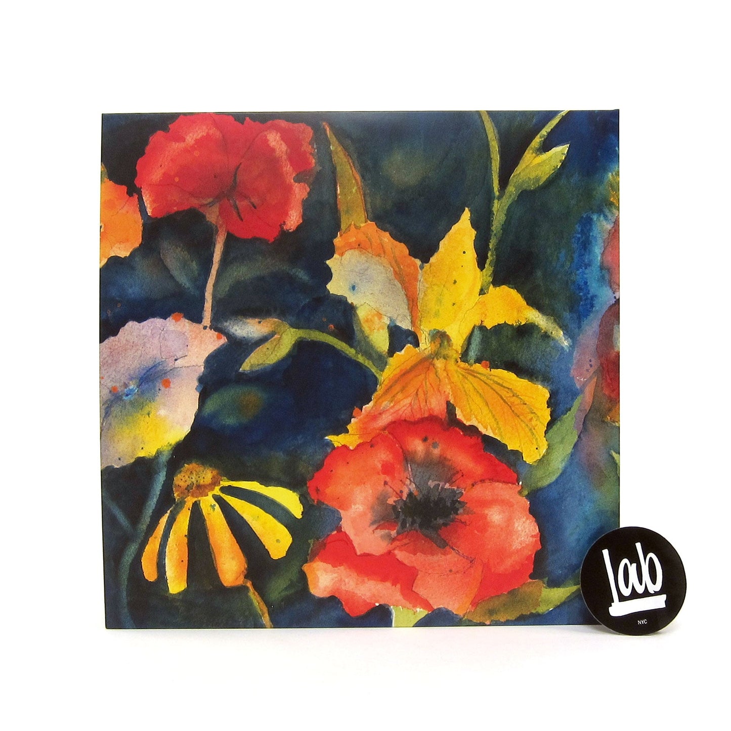Adrianne Lenker: Songs And Instrumentals Vinyl 2LP { vinyl }