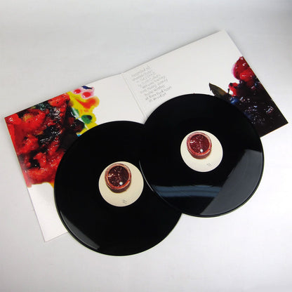 Animal Collective: Strawberry Jam Vinyl 2LP { vinyl }