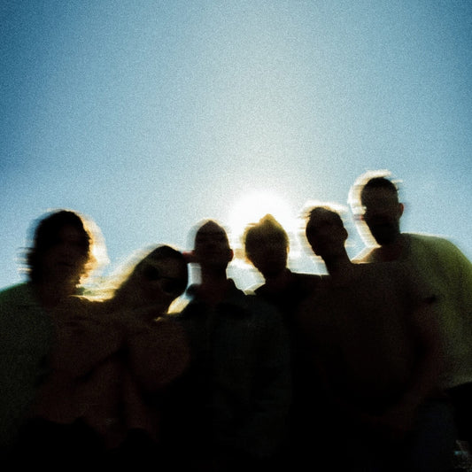 HEAD & THE HEART - APERTURE Vinyl LP { vinyl }