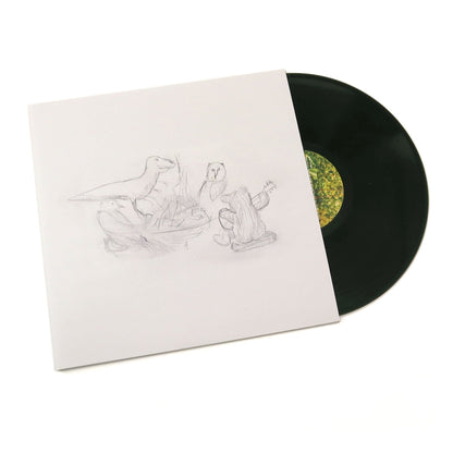 Big Thief: Dragon New Warm Mountain I Believe In You Vinyl 2LP { vinyl }