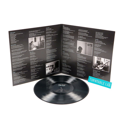 Big Thief: Masterpiece Vinyl LP { vinyl }