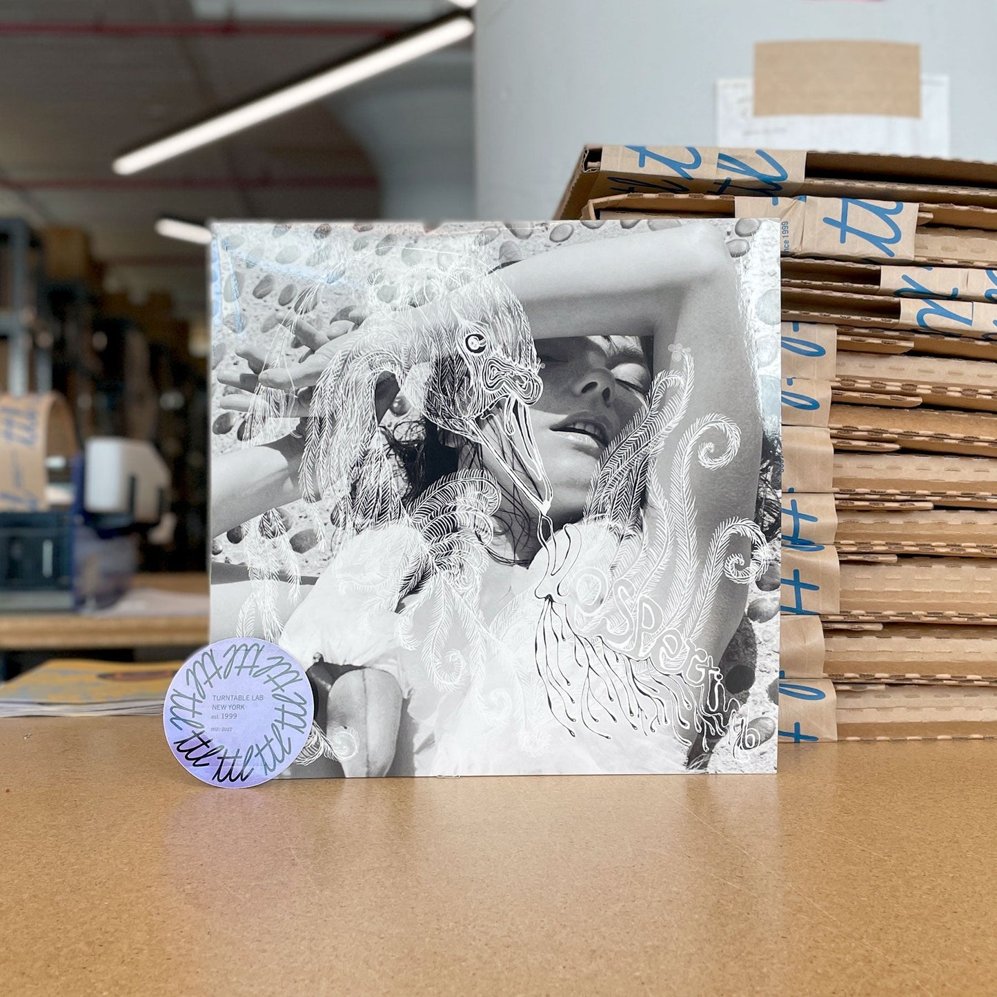 Bjork: Vespertine Vinyl 2LP { vinyl }