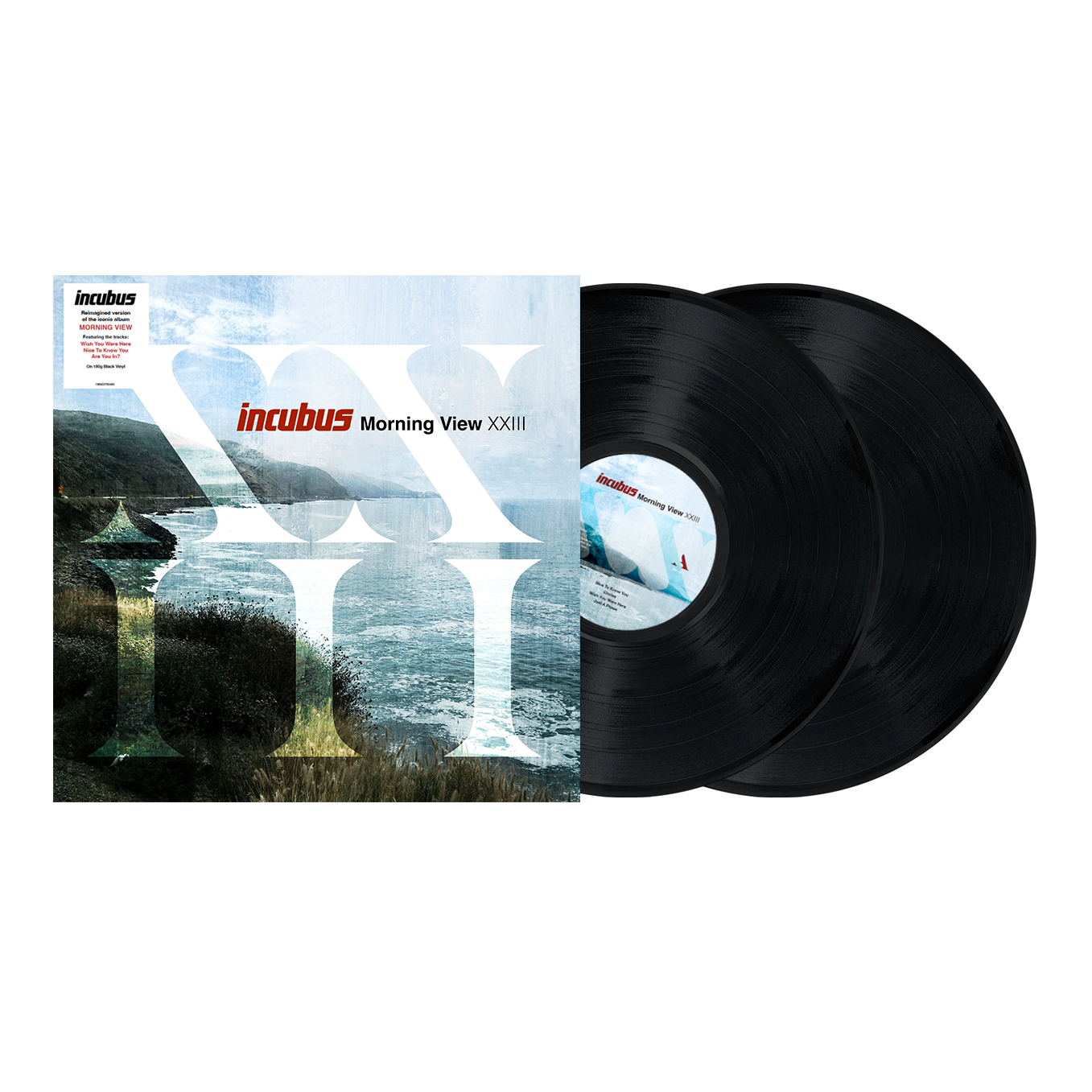 Morning View XXII: Vinyl 2LP { vinyl }