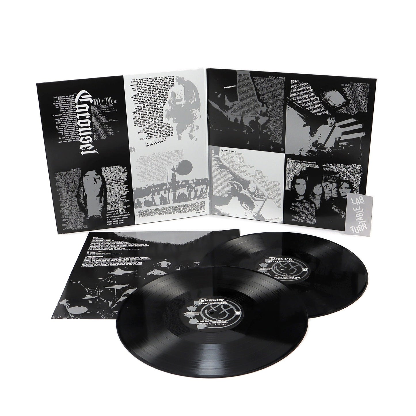 Blink-182: Greatest Hits Vinyl 2LP { vinyl }