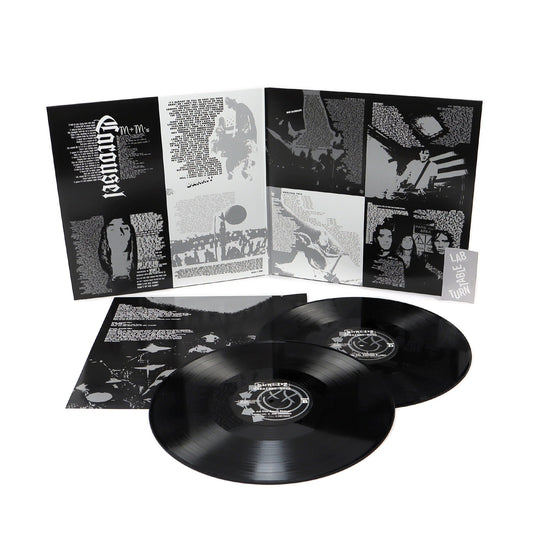Blink-182: Greatest Hits Vinyl 2LP { vinyl }