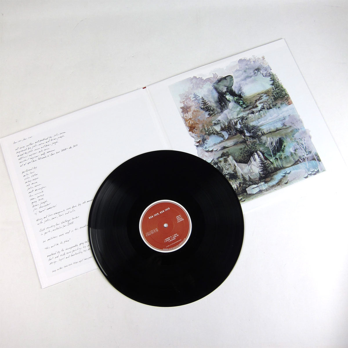 Bon Iver: Bon Iver, Bon Iver Vinyl LP { vinyl }