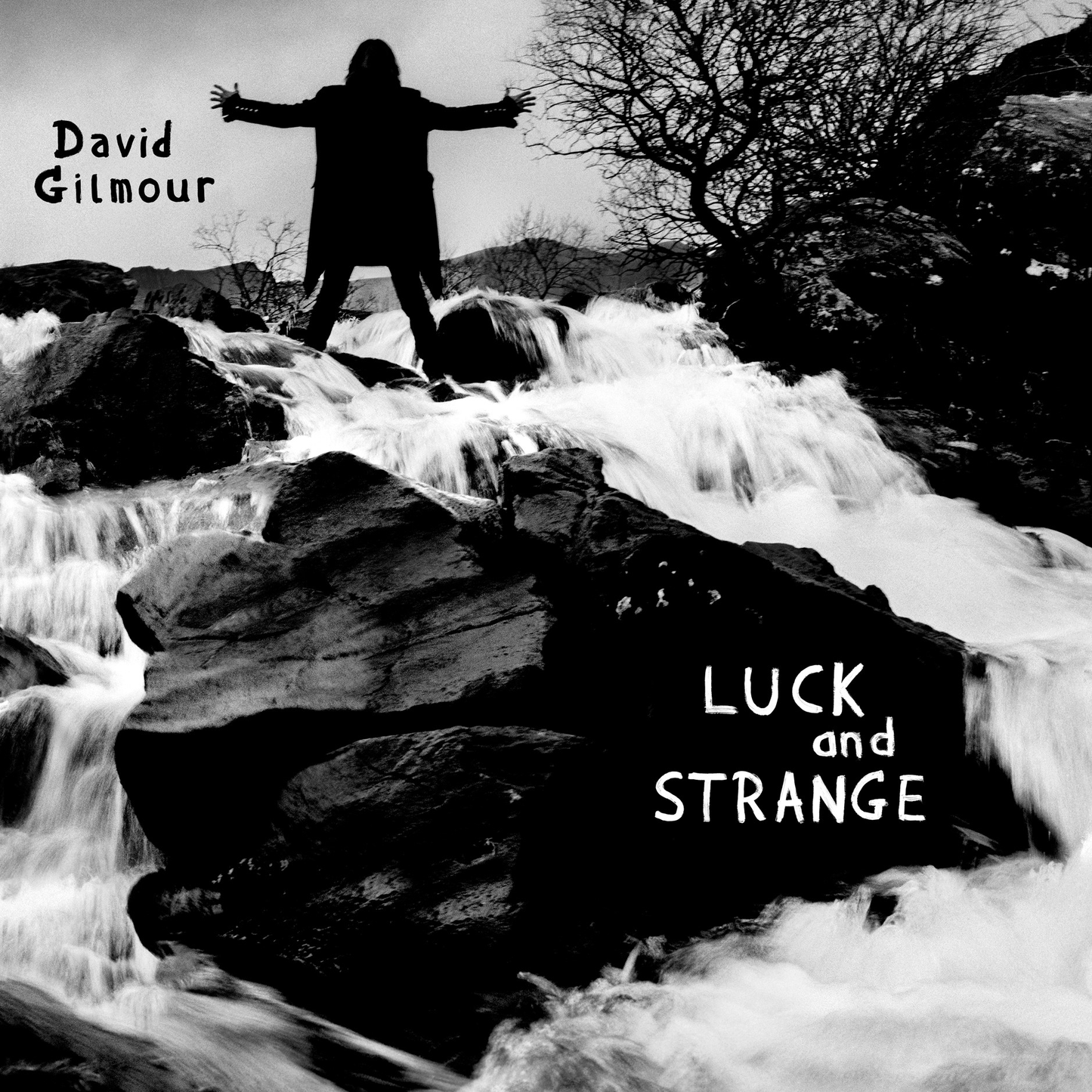 Luck and Strange: Vinyl LP