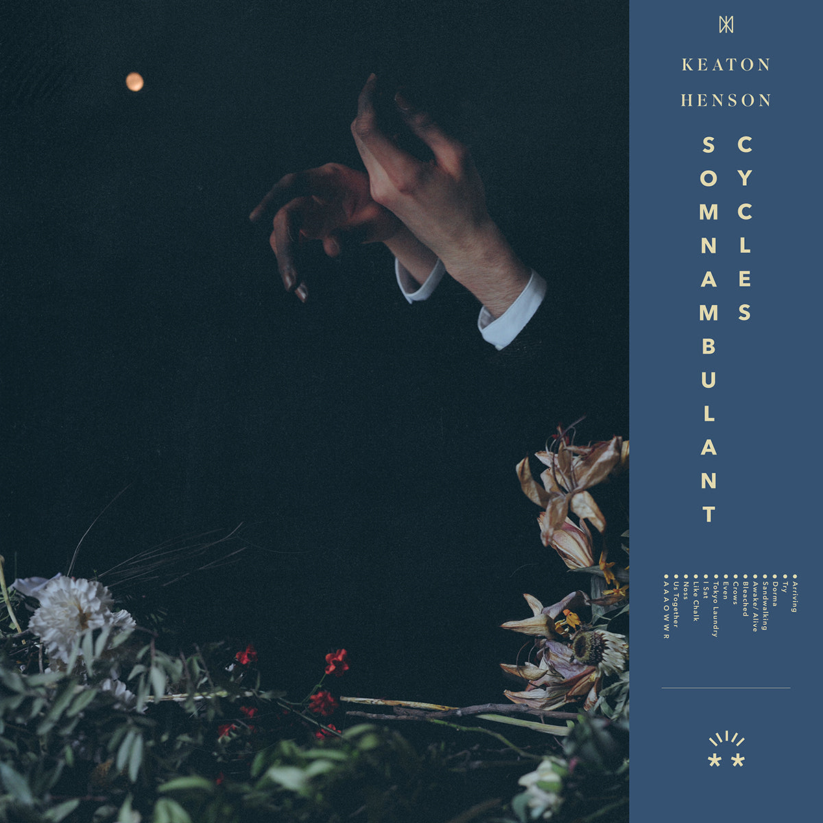 Somnambulant Cycles: Vinyl LP { vinyl }