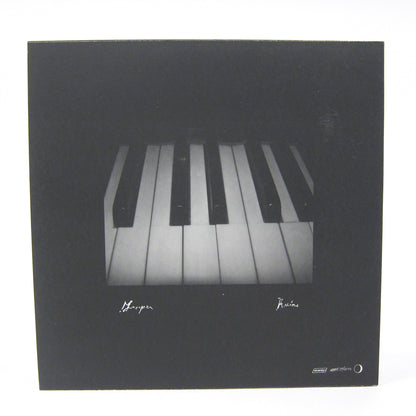 Grouper: Ruins Vinyl LP { vinyl }