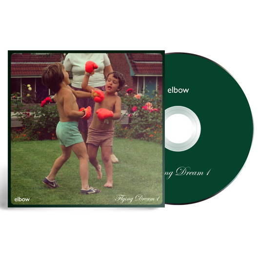 Flying Dream 1: CD { vinyl }