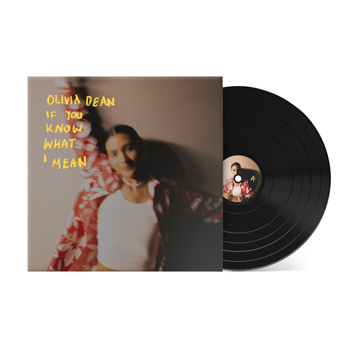 If You Know What I Mean { vinyl }
