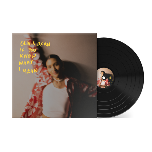 If You Know What I Mean { vinyl }