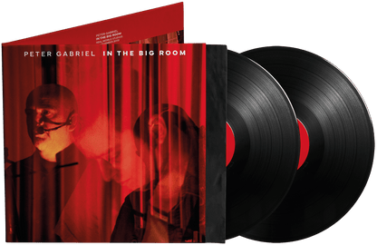 GABRIEL,PETER - IN THE BIG ROOM Vinyl LP { vinyl }