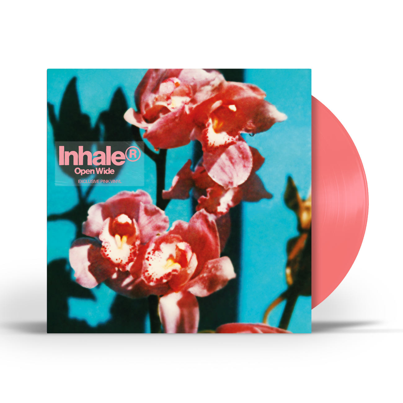 Open Wide: Limited Pink Vinyl LP (w/ Alt Sleeve) { vinyl }