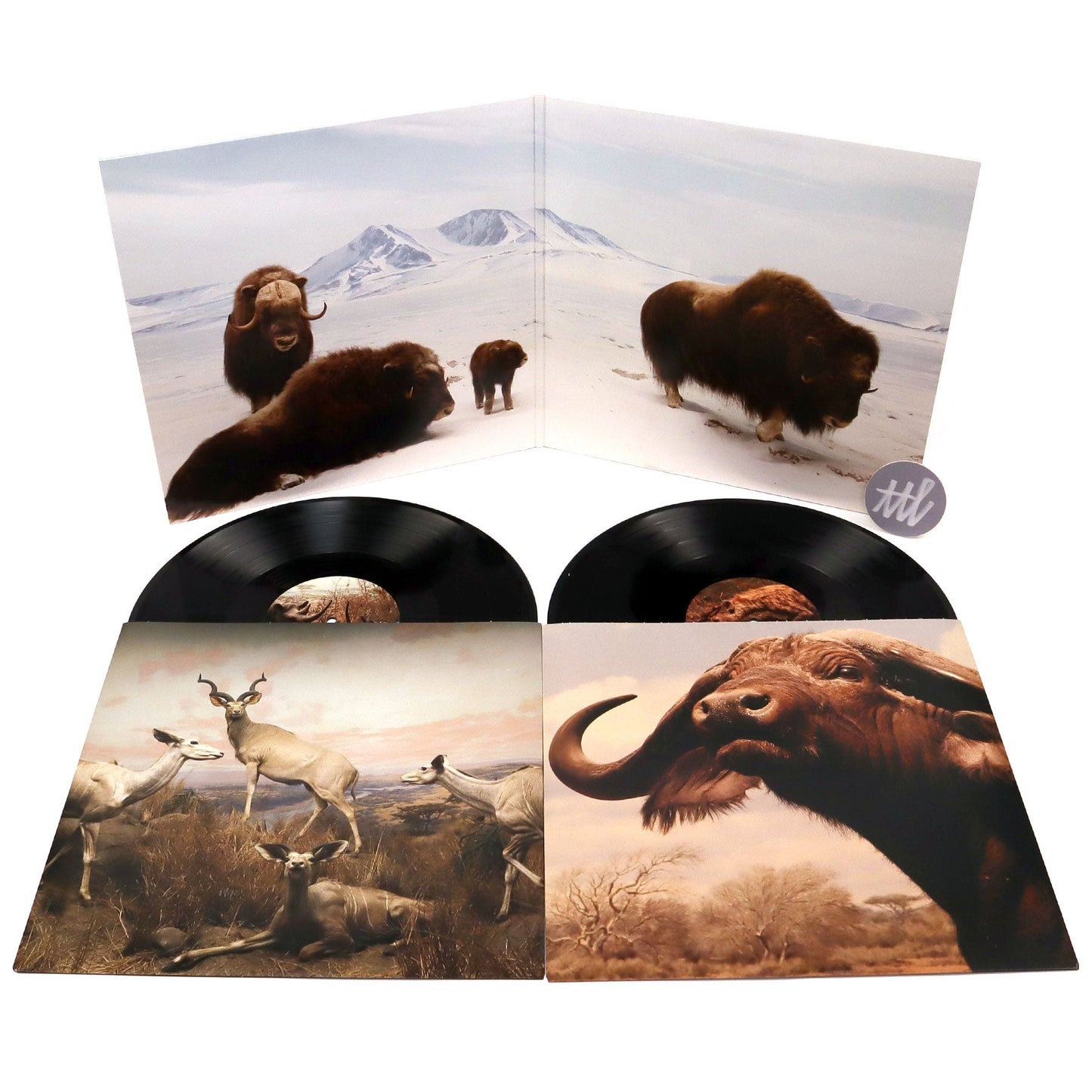Interpol: Our Love To Admire Vinyl 2LP { vinyl }