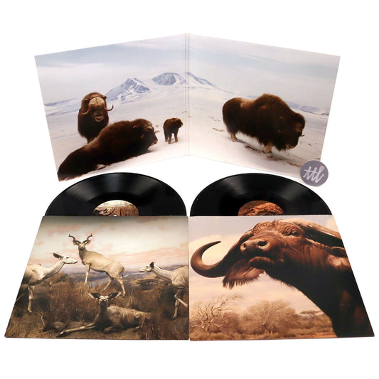 Interpol: Our Love To Admire Vinyl 2LP { vinyl }