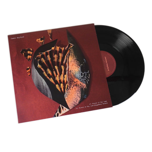 James Hayford & BiggaBush: Split EP Vinyl 12" { vinyl }