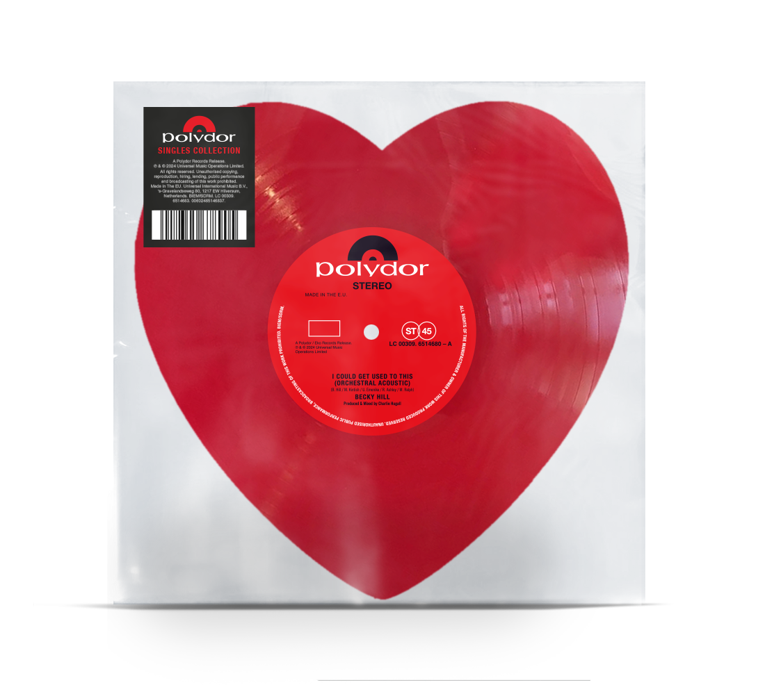 I Could Get Used To This / Remember 10" { vinyl }