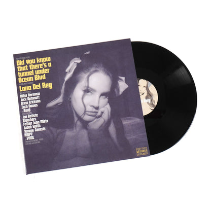 Lana Del Rey: Did You Know That There's A Tunnel Under Ocean Blvd (180g) Vinyl 2LP { vinyl }