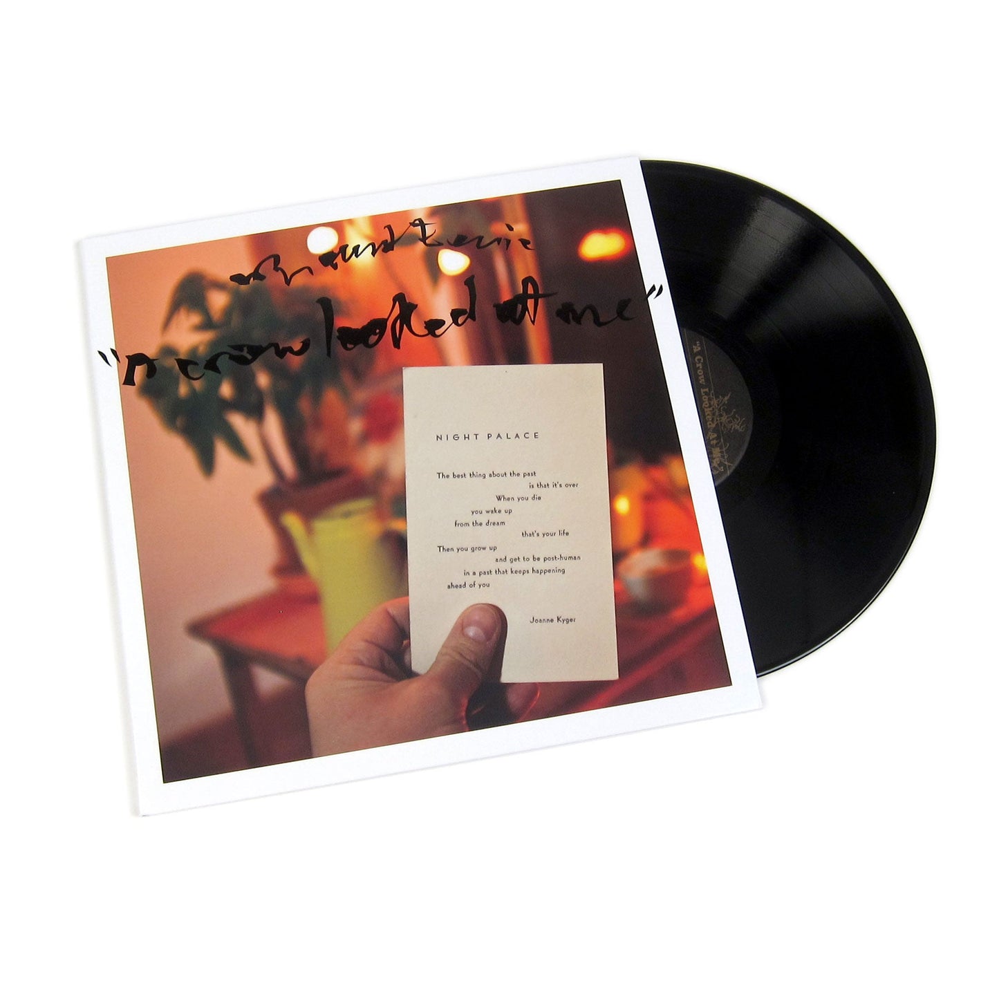 Mount Eerie: A Crow Looked At Me Vinyl LP { vinyl }