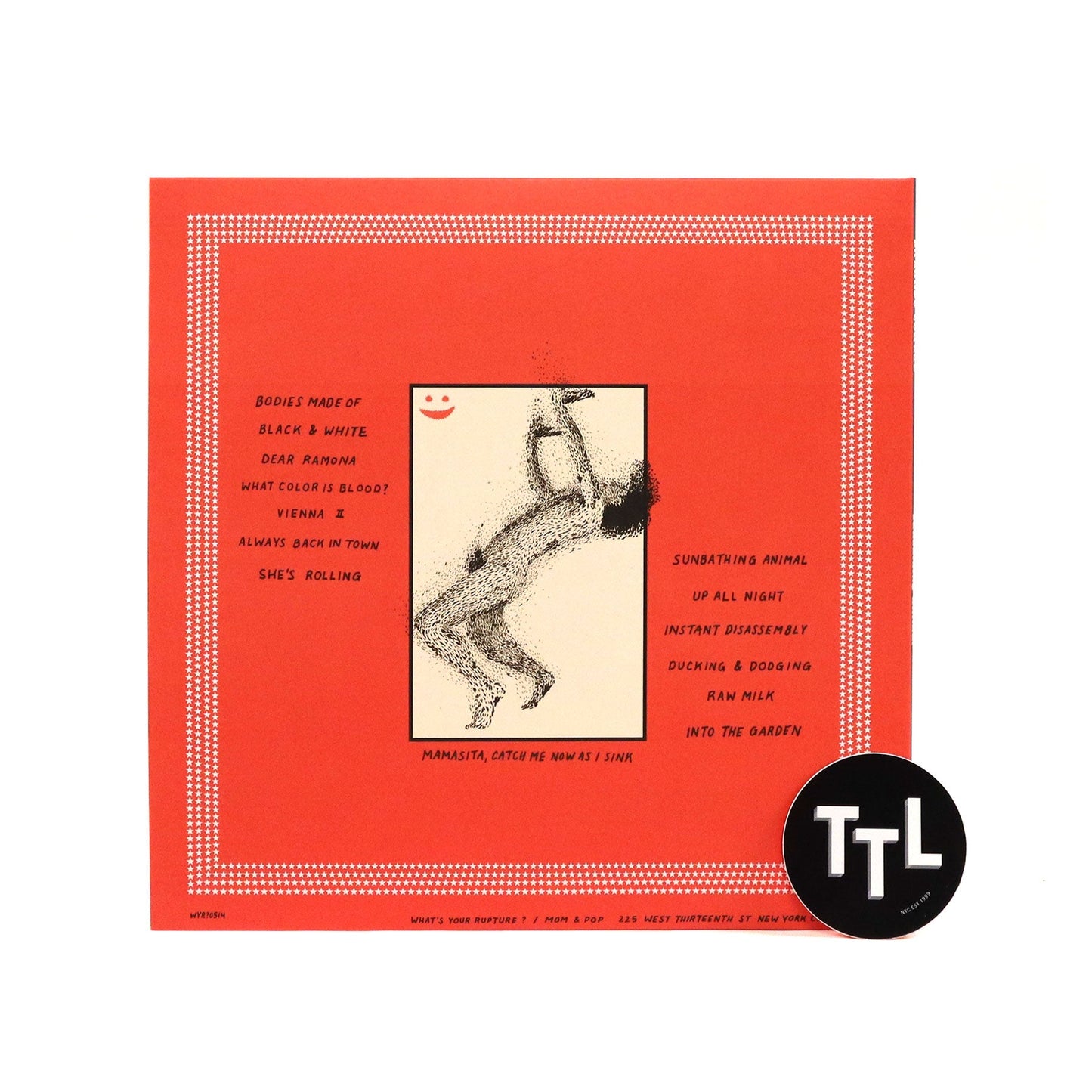 Parquet Courts: Sunbathing Animal Vinyl LP { vinyl }