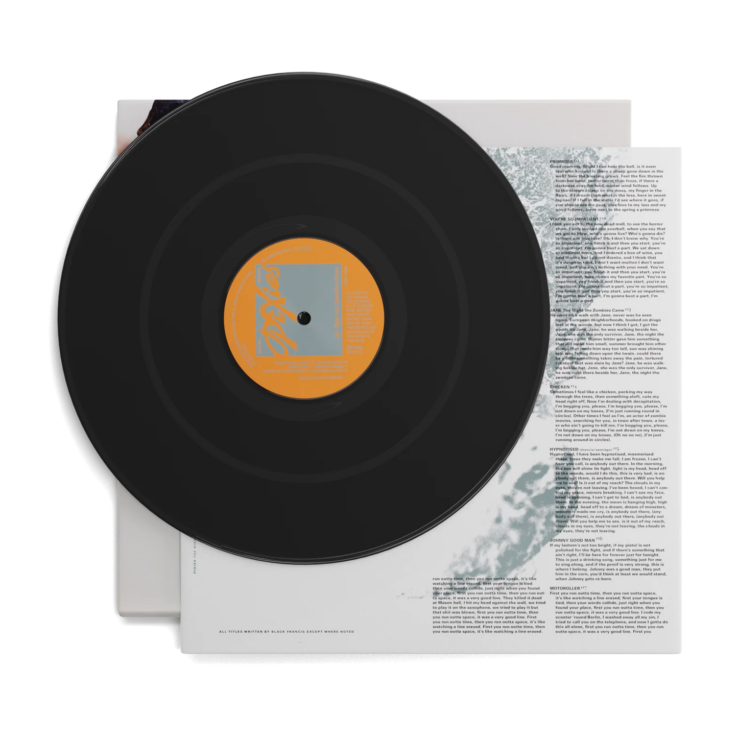 The Night the Zombies Came: VInyl LP { vinyl }