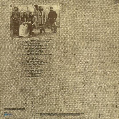 STEELEYE SPAN - PLEASE TO SEE THE KING Vinyl LP { vinyl }