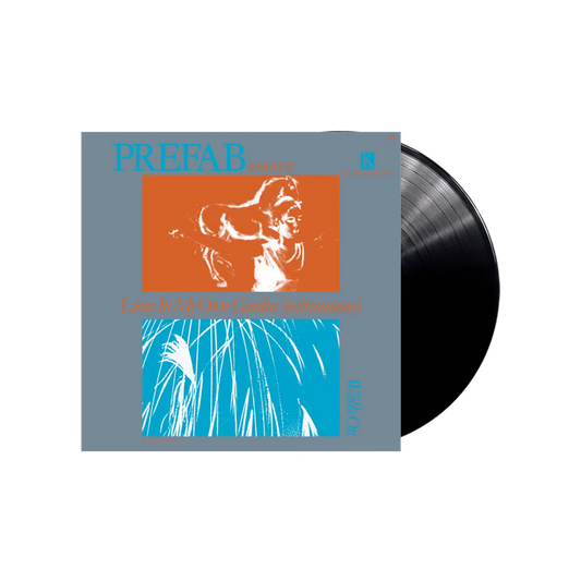 Lions In My Garden: Limited Vinyl 12" Single [RSD24] { vinyl }