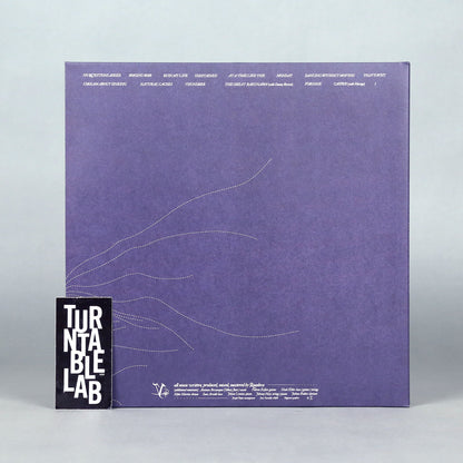 Quadeca: Vanisher, Horizon Scraper (Sparkle Colored Vinyl) Vinyl 2LP - Turntable Lab Exclusive { vinyl }
