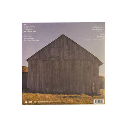 Stick Season: Vinyl 2LP { vinyl }