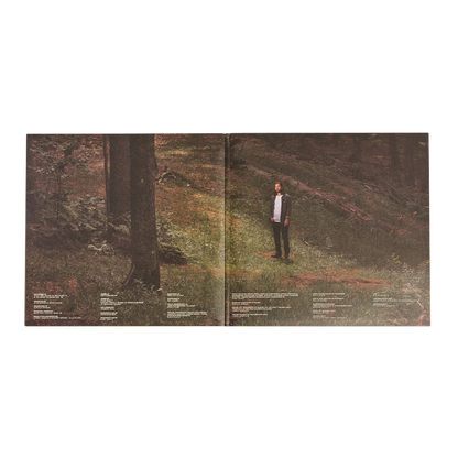 Stick Season: Vinyl 2LP { vinyl }