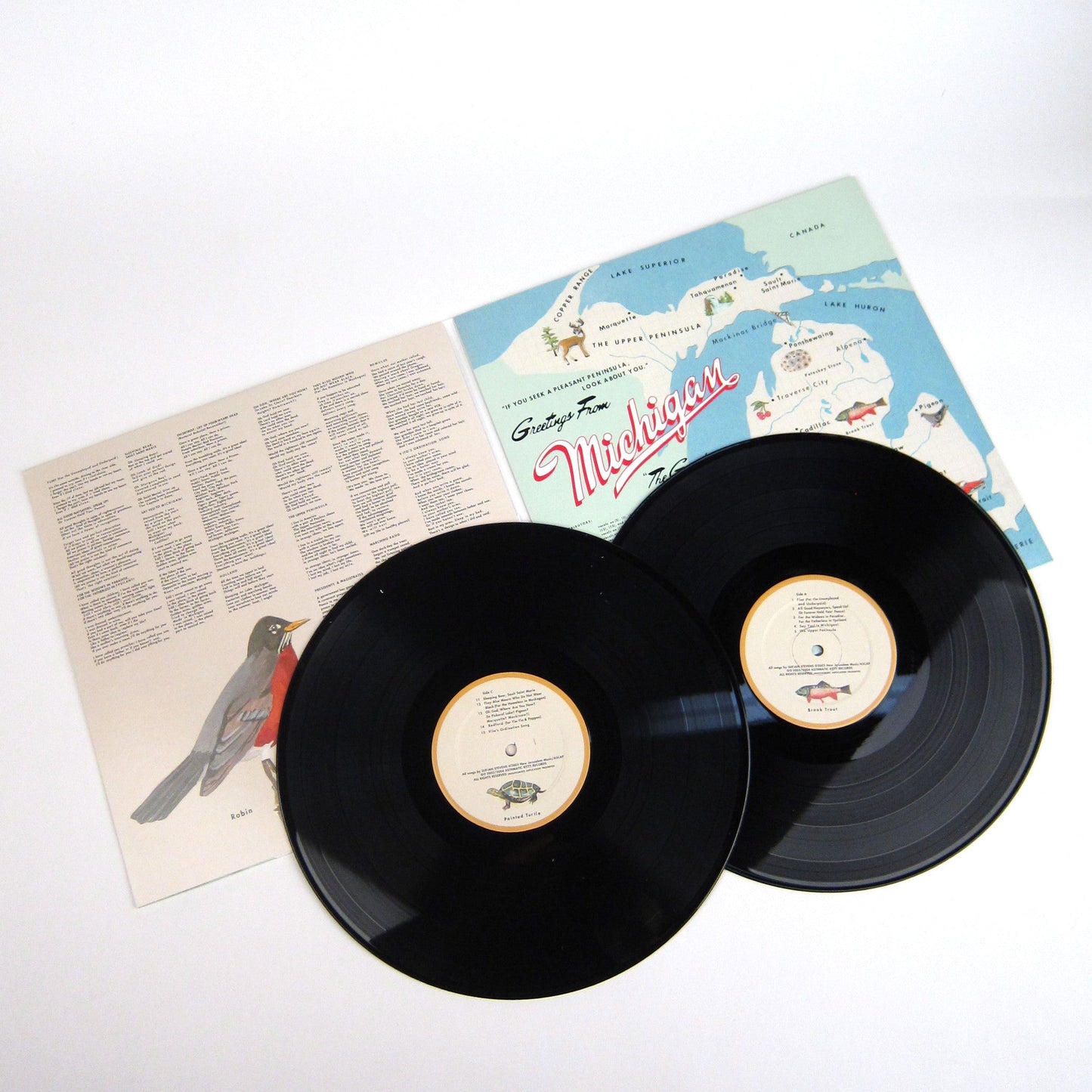 Sufjan Stevens: Michigan Vinyl 2LP { vinyl }