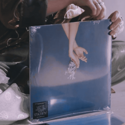 What Happened To The Heart? <br> (Earth’s Version) Exclusive 2LP { vinyl }